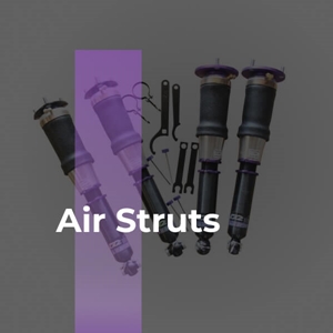 D2 Air Suspension-Air Struts