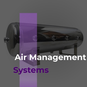 D2 Air Suspension-Air Management Systems
