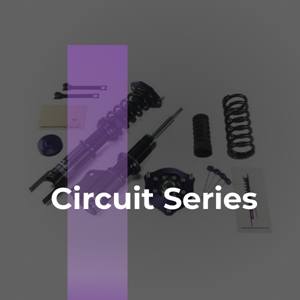 D2 Coilovers - Circuit Series