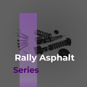 D2 Coilovers - Rally Asphalt Series